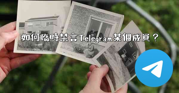 如何臨時禁言Telegram某個成員？