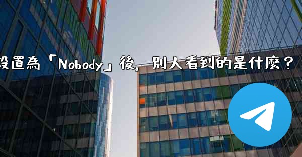 Telegram設置為「Nobody」後，別人看到的是什麼？