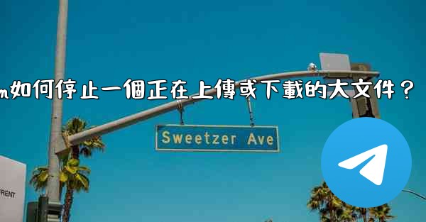 Telegram如何停止一個正在上傳或下載的大文件？