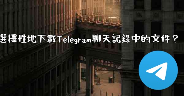 如何選擇性地下載Telegram聊天記錄中的文件？