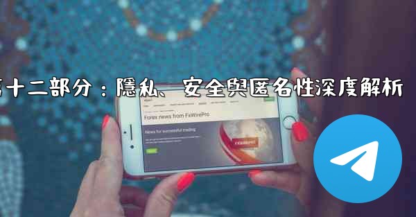 Telegram-第十二部分：隱私、安全與匿名性深度解析