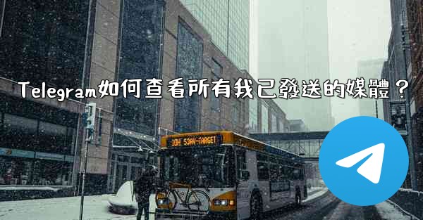 Telegram如何查看所有我已發送的媒體？