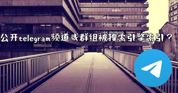<b>如何防止我的公開Telegram頻道或群組被搜索引擎索引？、如何防止我的公开telegram频道或群组被搜索引擎索引？</b>