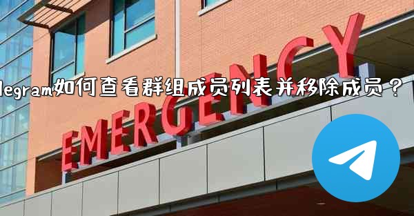 Telegram如何查看群組成員列表並移除成員？_telegram如何查看群组成员列表并移除成员？