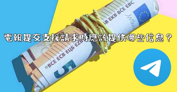電報提交支援請求時應該提供哪些信息？