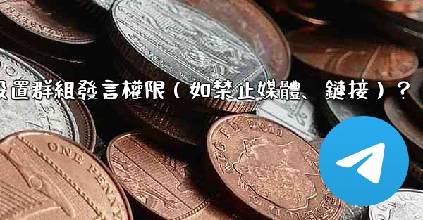 <b>電報如何設置群組發言權限（如禁止媒體、鏈接）？</b>