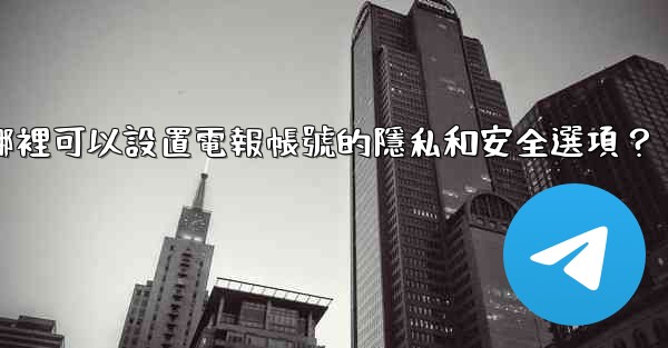 在哪裡可以設置電報帳號的隱私和安全選項？