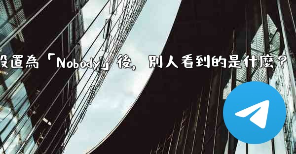 電報設置為「Nobody」後，別人看到的是什麼？