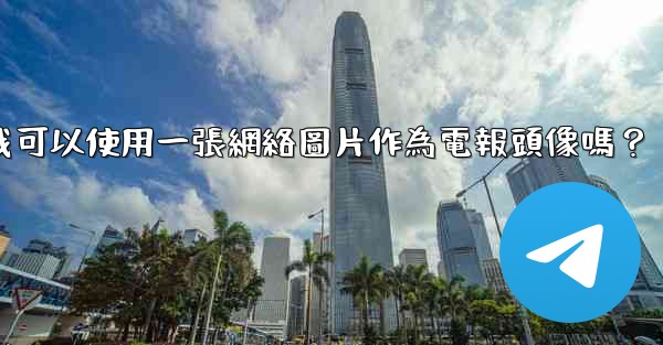 我可以使用一張網絡圖片作為電報頭像嗎？