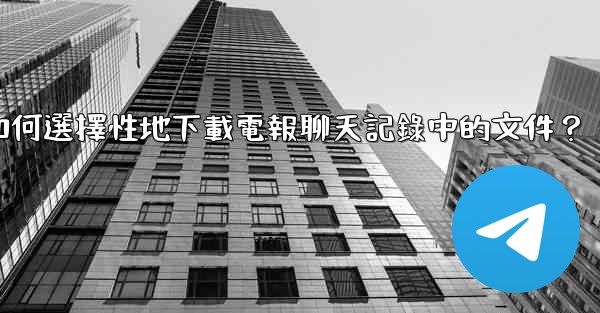 如何選擇性地下載電報聊天記錄中的文件？