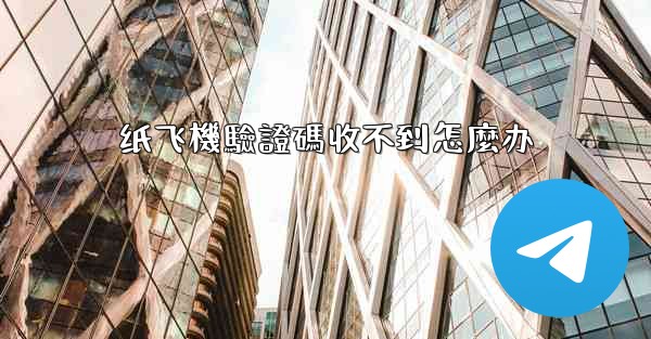 纸飞機驗證碼收不到怎麼办