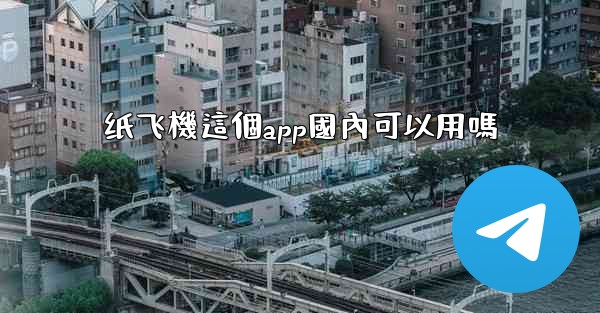 纸飞機這個app國內可以用嗎