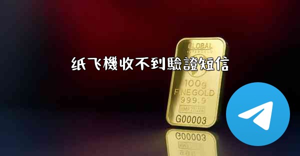 <b>纸飞機收不到驗證短信</b>