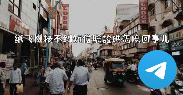 纸飞機接不到短信驗證碼怎麼回事儿