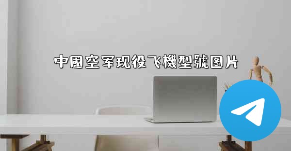 中國空军现役飞機型號图片