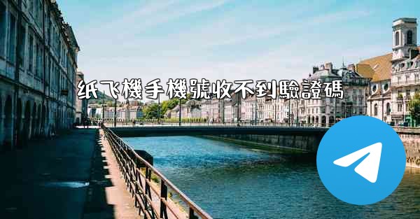 纸飞機手機號收不到驗證碼