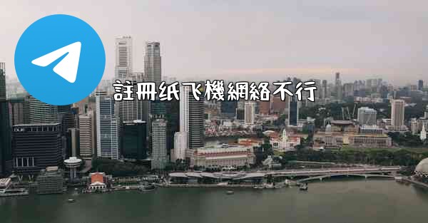 註冊纸飞機網絡不行
