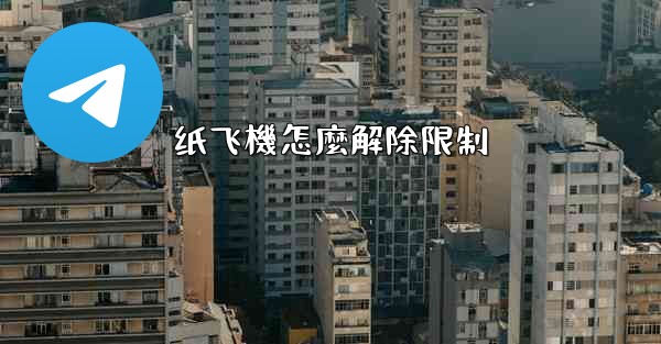 纸飞機怎麼解除限制