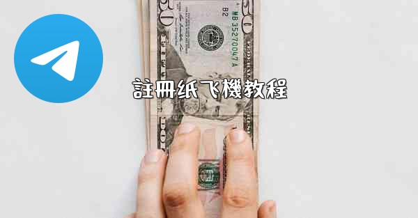 註冊纸飞機教程