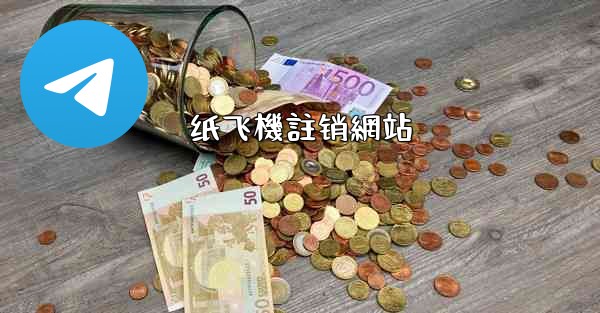 纸飞機註销網站