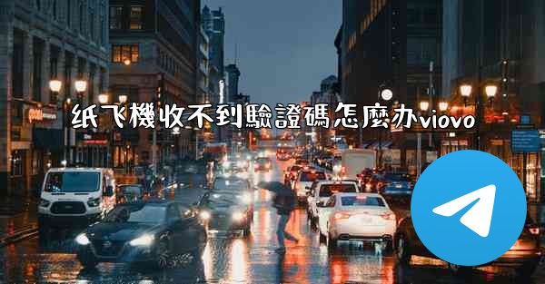 纸飞機收不到驗證碼怎麼办viovo