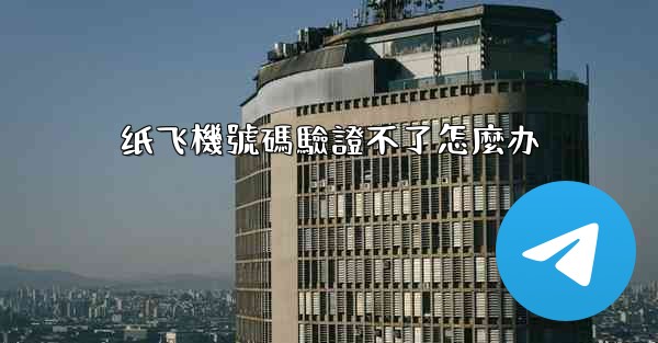 纸飞機號碼驗證不了怎麼办