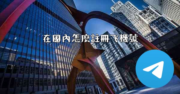 在國內怎麼註冊飞機號