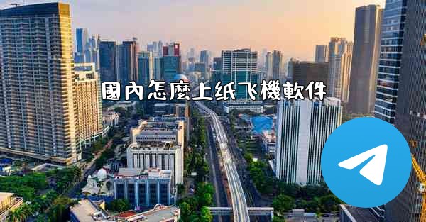 <b>國內怎麼上纸飞機軟件</b>