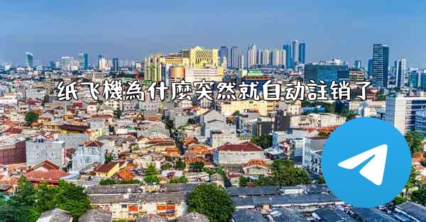 纸飞機為什麼突然就自动註销了