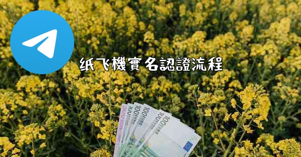 <b>纸飞機實名認證流程</b>