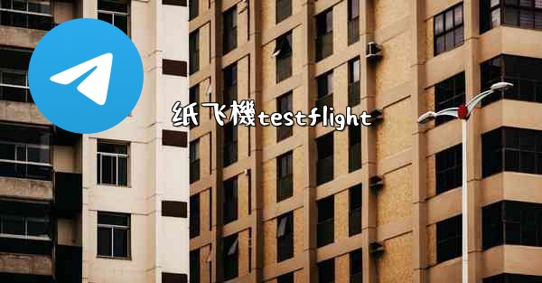 纸飞機testflight