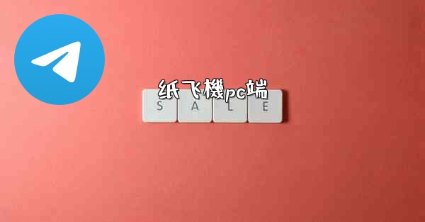纸飞機pc端