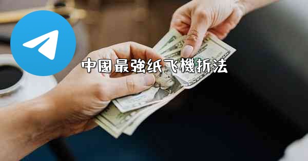 <b>中國最強纸飞機折法</b>