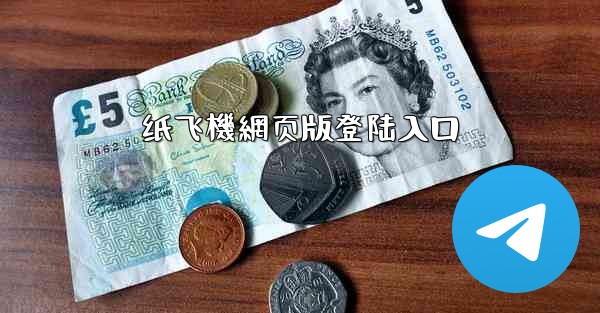 纸飞機網页版登陆入口