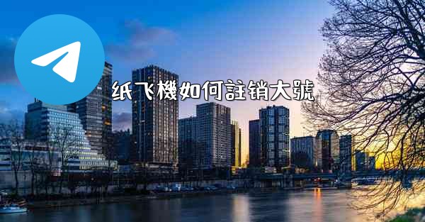 纸飞機如何註销大號