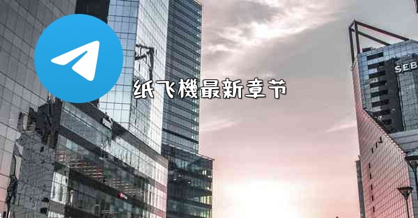 纸飞機最新章节
