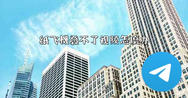 纸飞機發不了视频怎麼办