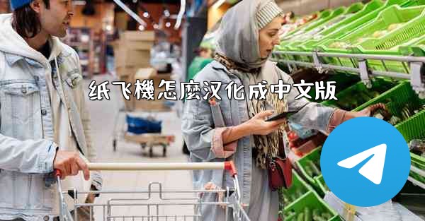 纸飞機怎麼汉化成中文版