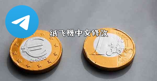 <b>纸飞機中文修改</b>