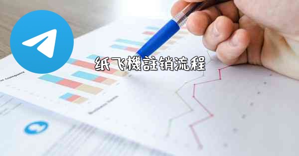 <b>纸飞機註销流程</b>