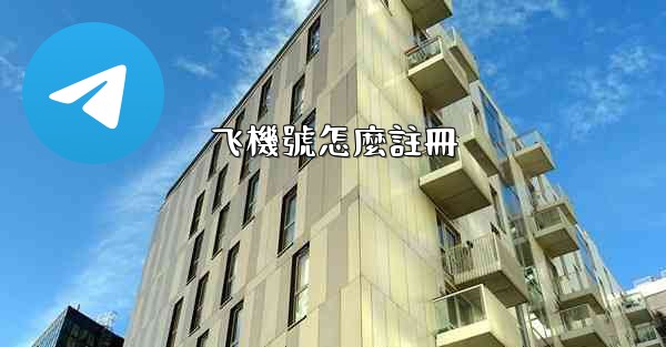 飞機號怎麼註冊