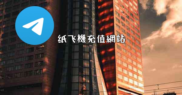 纸飞機充值網站