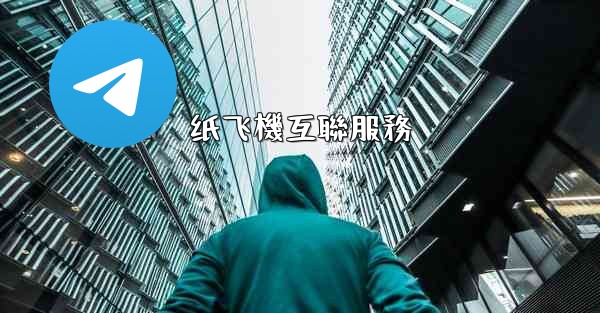 纸飞機互聯服務