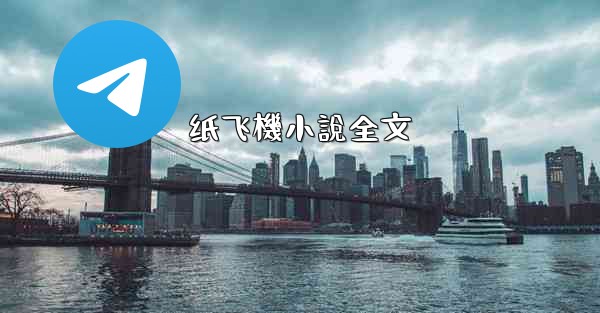 纸飞機小說全文