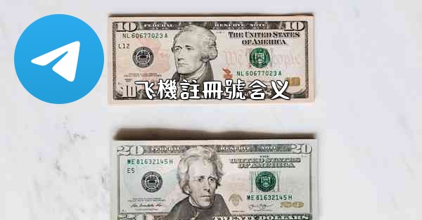 飞機註冊號含义