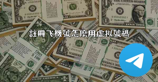 註冊飞機號怎麼用虚拟號碼