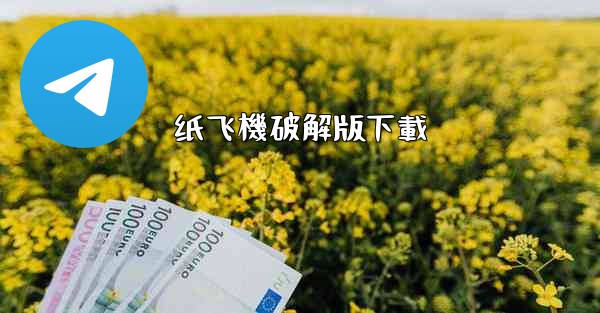 纸飞機破解版下載