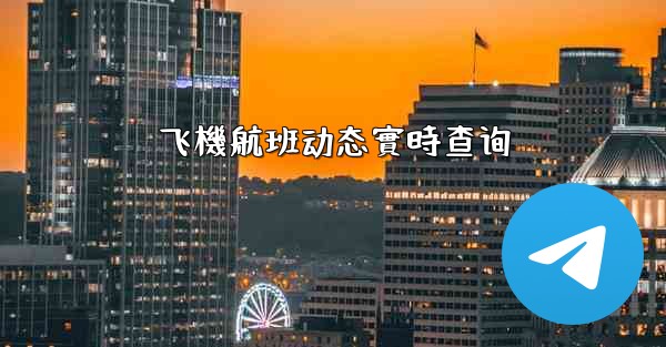 飞機航班动态實時查询