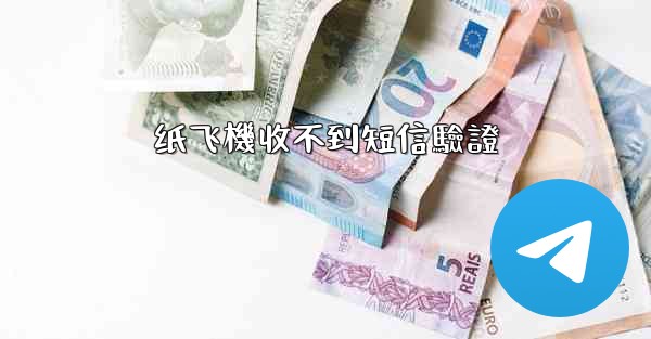 纸飞機收不到短信驗證
