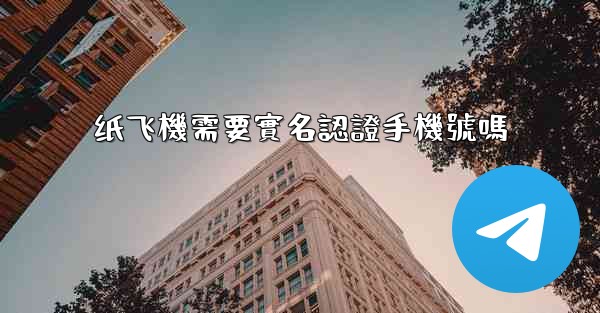 纸飞機需要實名認證手機號嗎